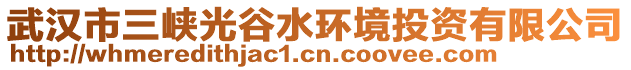武漢市三峽光谷水環(huán)境投資有限公司