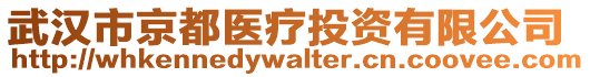 武漢市京都醫療投資有限公司
