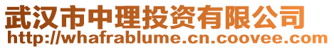 武漢市中理投資有限公司