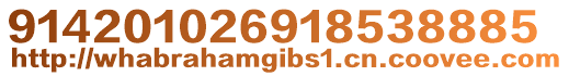 914201026918538885