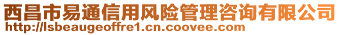 西昌市易通信用風險管理咨詢有限公司