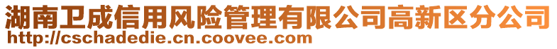 湖南衛成信用風險管理有限公司高新區分公司