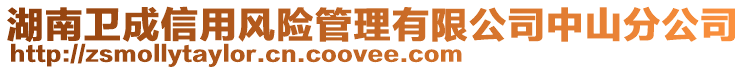 湖南衛成信用風險管理有限公司中山分公司