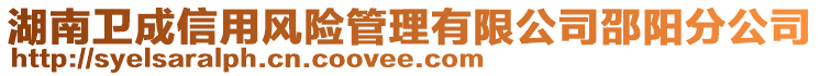 湖南衛成信用風險管理有限公司邵陽分公司