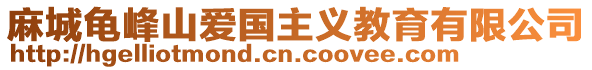 麻城龜峰山愛國主義教育有限公司