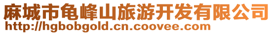 麻城市龜峰山旅游開發有限公司