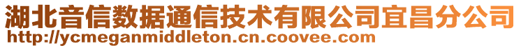 湖北音信數(shù)據(jù)通信技術有限公司宜昌分公司