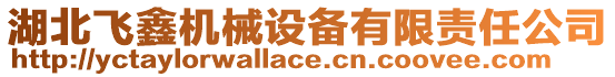 湖北飛鑫機械設備有限責任公司