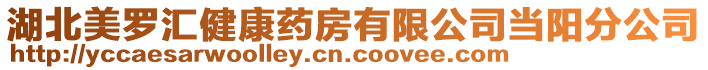 湖北美羅匯健康藥房有限公司當(dāng)陽分公司