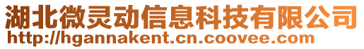湖北微靈動信息科技有限公司