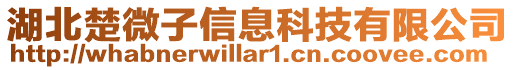 湖北楚微子信息科技有限公司