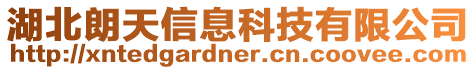 湖北朗天信息科技有限公司