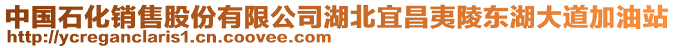 中國石化銷售股份有限公司湖北宜昌夷陵東湖大道加油站