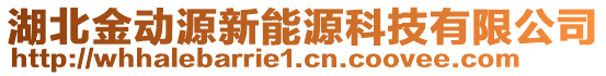 湖北金動源新能源科技有限公司