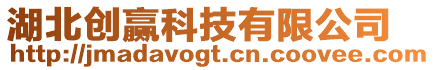 湖北創贏科技有限公司