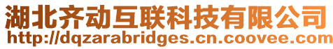 湖北齊動(dòng)互聯(lián)科技有限公司