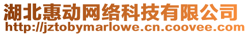 湖北惠動網絡科技有限公司