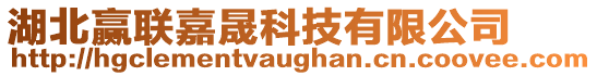 湖北贏聯嘉晟科技有限公司