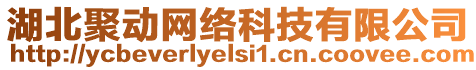 湖北聚動網絡科技有限公司