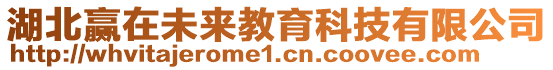 湖北贏在未來教育科技有限公司