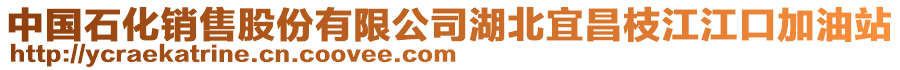 中國石化銷售股份有限公司湖北宜昌枝江江口加油站