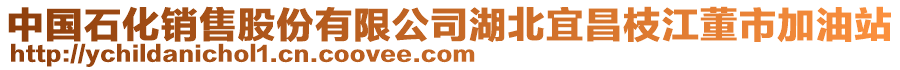 中國(guó)石化銷售股份有限公司湖北宜昌枝江董市加油站