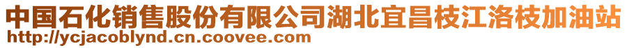 中國石化銷售股份有限公司湖北宜昌枝江洛枝加油站