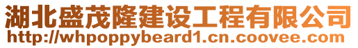 湖北盛茂隆建設(shè)工程有限公司