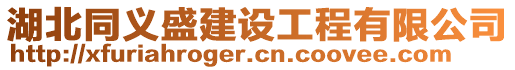 湖北同義盛建設(shè)工程有限公司