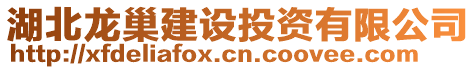湖北龍巢建設投資有限公司