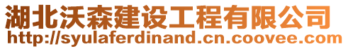 湖北沃森建設(shè)工程有限公司