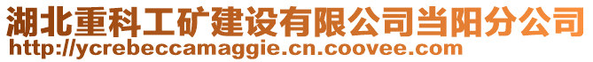 湖北重科工礦建設(shè)有限公司當陽分公司