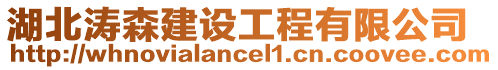 湖北濤森建設工程有限公司