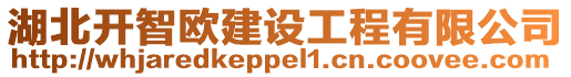 湖北开智欧建设工程有限公司