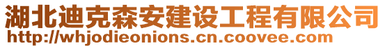 湖北迪克森安建設(shè)工程有限公司