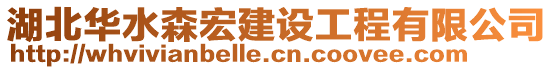 湖北华水森宏建设工程有限公司