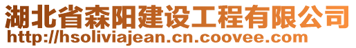 湖北省森陽建設(shè)工程有限公司