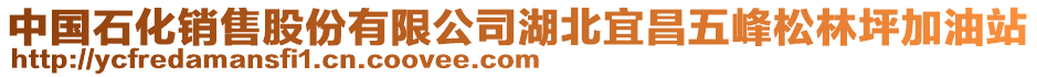 中國石化銷售股份有限公司湖北宜昌五峰松林坪加油站
