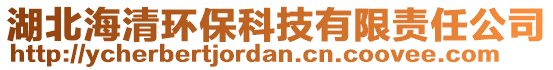 湖北海清环保科技有限责任公司