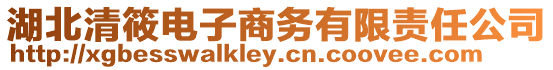 湖北清筱電子商務有限責任公司