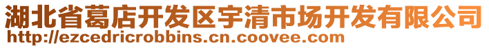 湖北省葛店开发区宇清市场开发有限公司