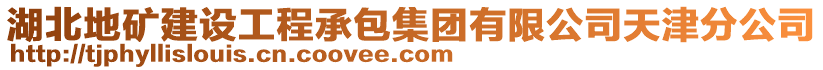 湖北地矿建设工程承包集团有限公司天津分公司