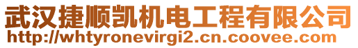 武漢捷順凱機(jī)電工程有限公司