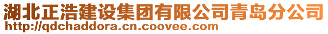 湖北正浩建設(shè)集團(tuán)有限公司青島分公司