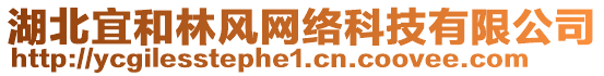 湖北宜和林風(fēng)網(wǎng)絡(luò)科技有限公司