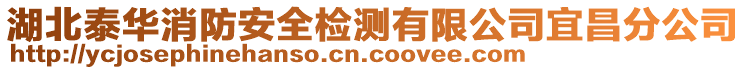 湖北泰華消防安全檢測(cè)有限公司宜昌分公司