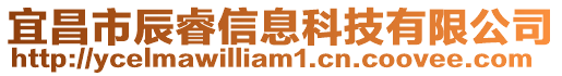 宜昌市辰睿信息科技有限公司