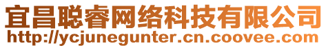 宜昌聰睿網(wǎng)絡(luò)科技有限公司