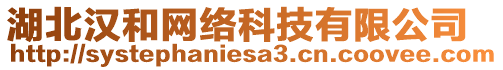 湖北漢和網(wǎng)絡科技有限公司