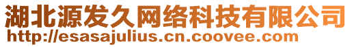 湖北源發(fā)久網(wǎng)絡(luò)科技有限公司